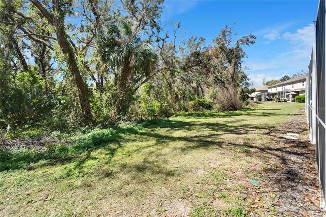 15787 Fishhawk Falls Dr, Townhouse with 2 bedrooms, 3 bathrooms and null parking in Lithia FL | Image 5