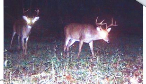 180 County Road 611 Country Road, Walnut, MS, 38683 | Card Image