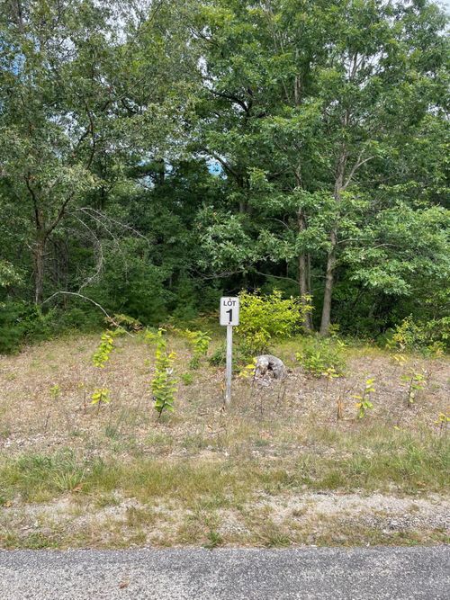 Lot 1 Renaissance Dr, Manistee, MI, 49660 | Card Image