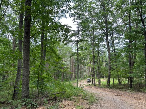 lot-c-318 Freeman Branch Rd, East Bernstadt, KY, 40729-6394 | Card Image