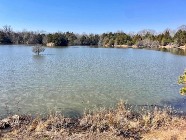 000 Brewer Rd, Home with 0 bedrooms, 0 bathrooms and null parking in Conway AR | Image 44