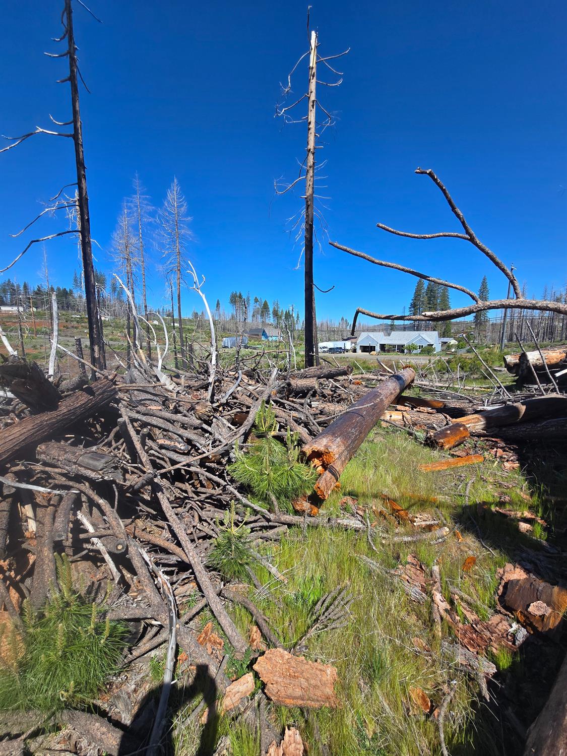 Land in Grizzly Flats 4