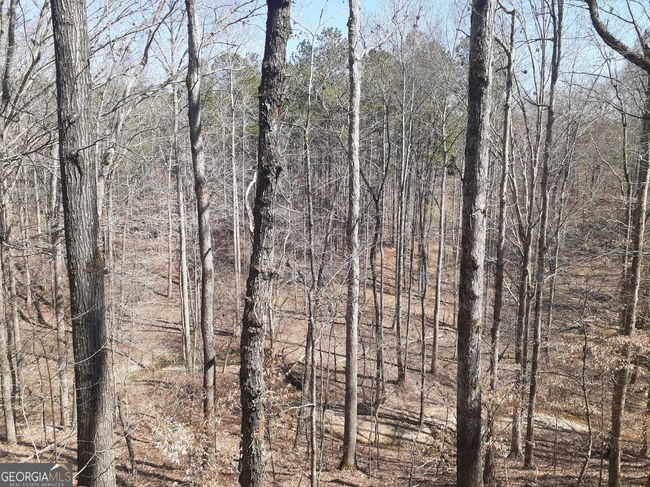 1368 Wash Brown Dr, Home with 0 bedrooms, 0 bathrooms and null parking in Elberton GA | Image 35