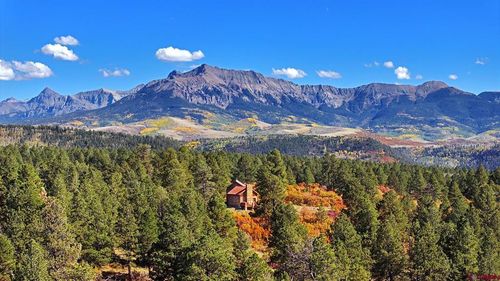 1250 Mckenzie Springs Rd, Placerville, CO, 81430 | Card Image