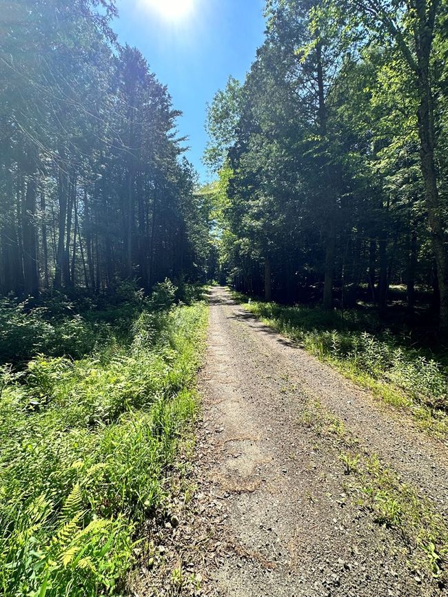 0 Crowningshield Rd, Home with 0 bedrooms, 0 bathrooms and null parking in Wilmington NY | Image 5
