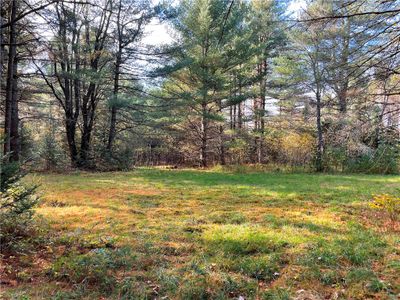 Lot 33 Nellis Road, Home with 0 bedrooms, 0 bathrooms and null parking in Ohio NY | Image 3