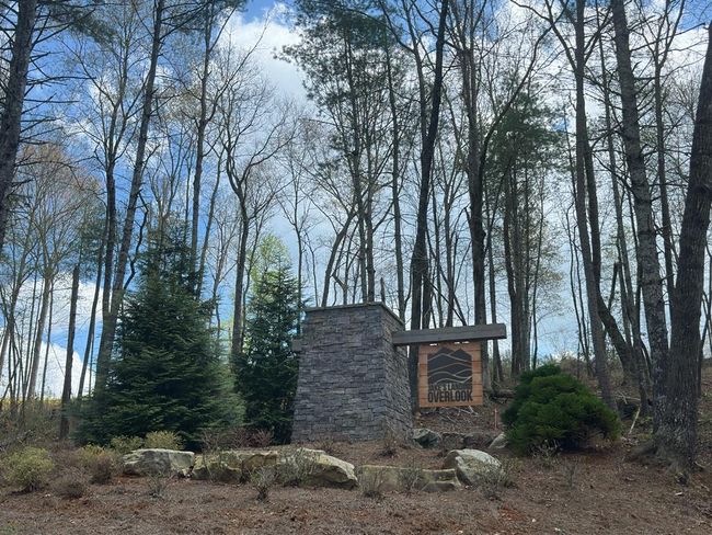 497 Jakes Landing Way S, Home with 3 bedrooms, 3 bathrooms and null parking in Ellijay GA | Image 54