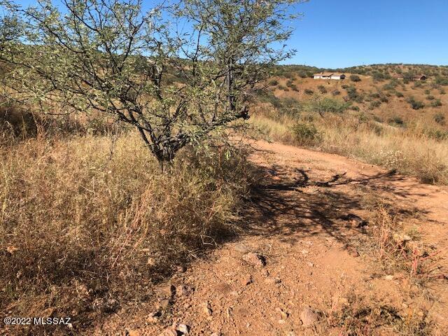 Land in Rio Rico 2