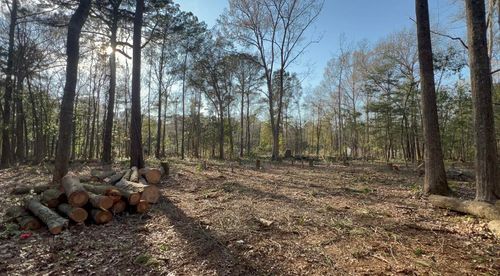 0 Sol Farm Road, Johns Island, SC, 29455 | Card Image