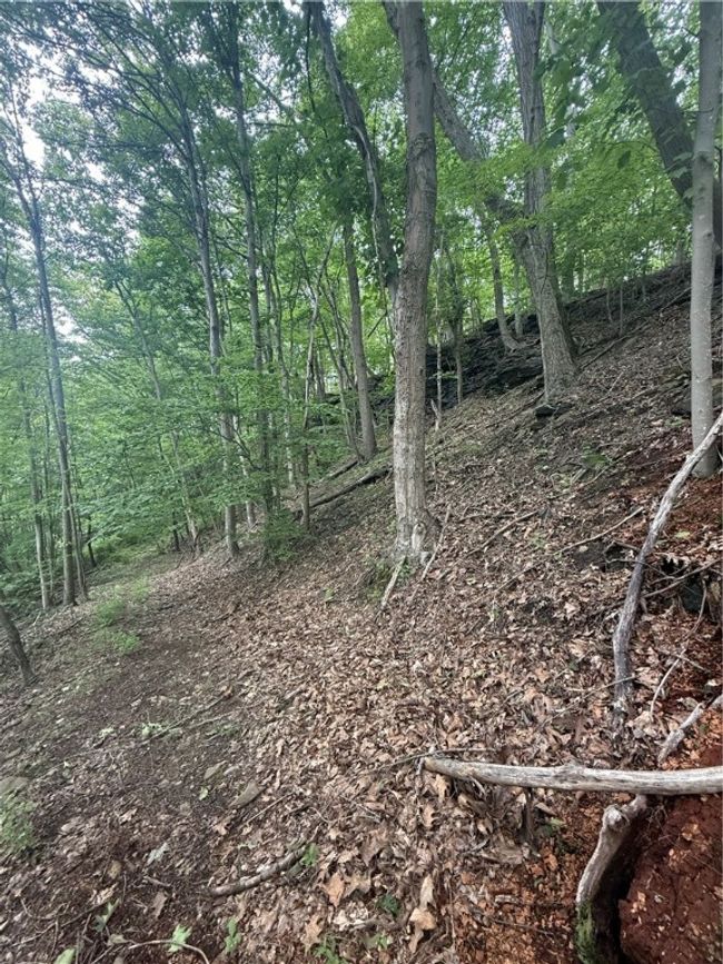 520 Palmer Rd, House other with 2 bedrooms, 1 bathrooms and null parking in German Twp PA | Image 6