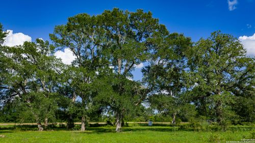 TBD Fm 2104, Smithville, TX, 78957 | Card Image