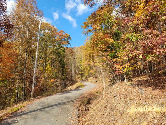 11 Raulstontown Road, Home with 0 bedrooms, 0 bathrooms and null parking in South Pittsburg TN | Image 6