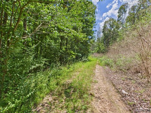 142 Wayne 521a, Wappapello, MO, 63966 | Card Image