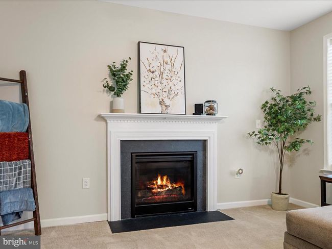 117 Taylor Ct, House other with 4 bedrooms, 3 bathrooms and null parking in STEPHENSON VA | Image 24
