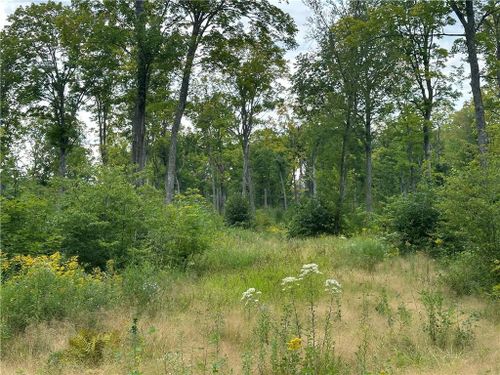 559.02 Acres Hwy T, Dairyland, WI, 54830 | Card Image