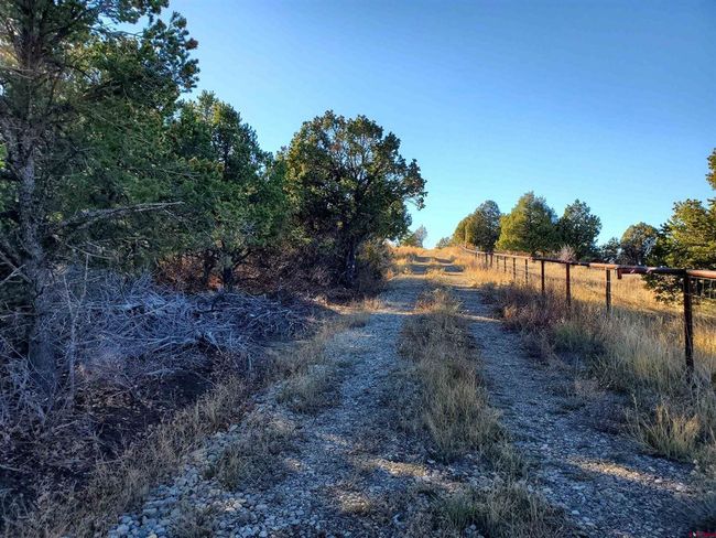 13989 Road 35.6, Home with 0 bedrooms, 0 bathrooms and null parking in Mancos CO | Image 19