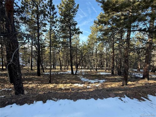 Lot 356 Spangle Dr, Fort Garland, CO, 81133 | Card Image