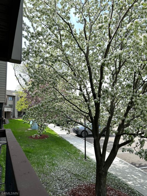 apt-104-4300 Trenton Ln N, Plymouth, MN, 55442-2833 | Card Image