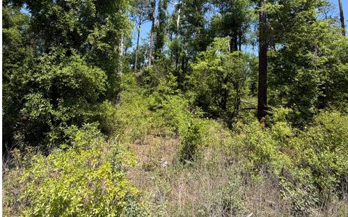 0 14th Ter, LIVE OAK, FL, 32060 | Card Image