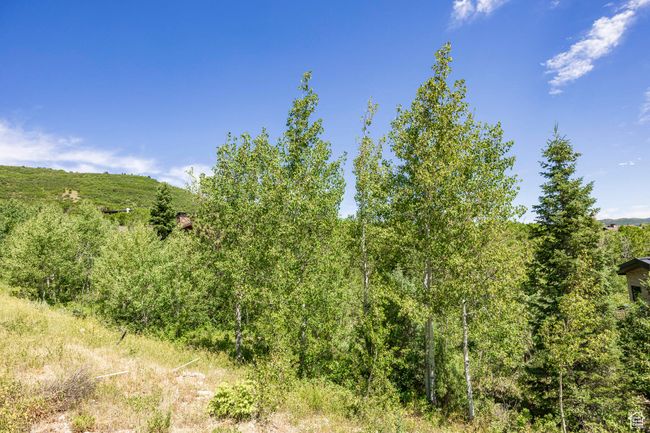 8 - 8719 Parleys Ln, Home with 0 bedrooms, 0 bathrooms and null parking in Park City UT | Image 37