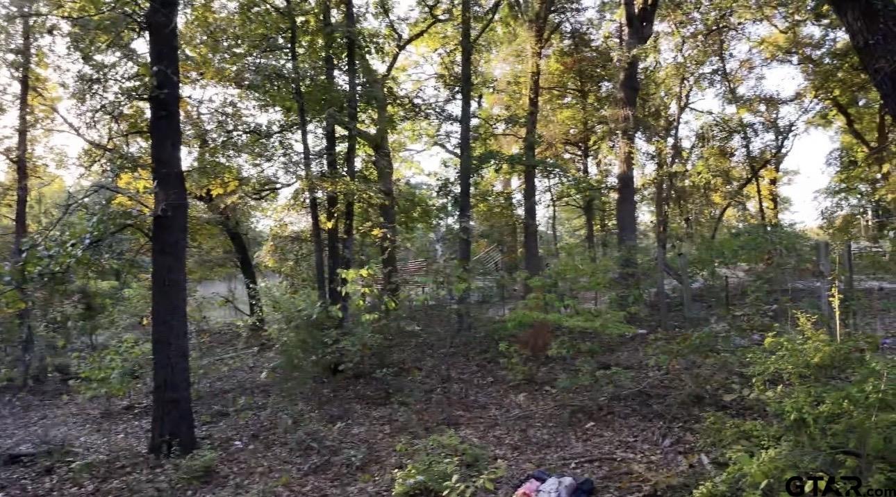 Land in Mineola 3