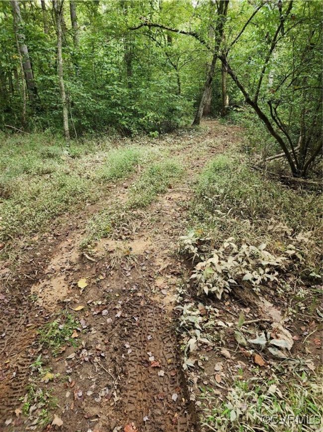 View of nature | Image 8