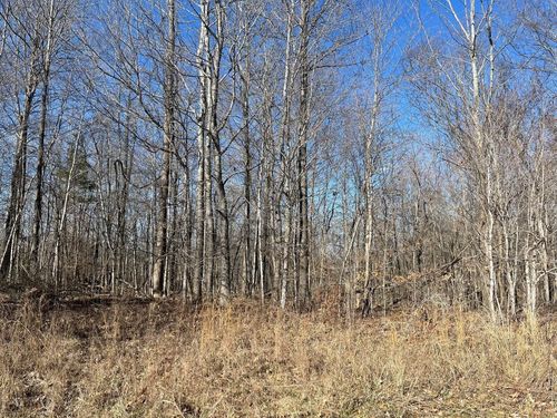 0 Chandler Rd, Woodlawn, TN, 37191 | Card Image