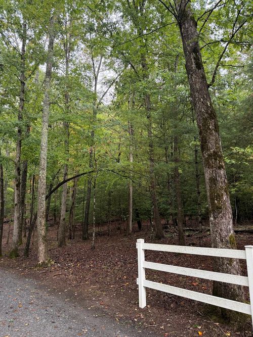 Lot 5 Ludlum Ln, Hayesville, NC, 28904 | Card Image