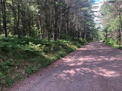9 Acres Camp 12 Rd, Eagle River, WI, 54519 | Card Image