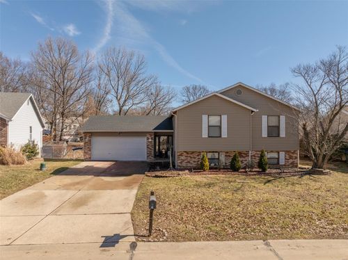 24 Danson Drive, St Peters, MO, 63376 | Card Image