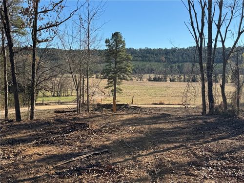 568 Peckerwood Ln, New Blaine, AR, 72851-9050 | Card Image