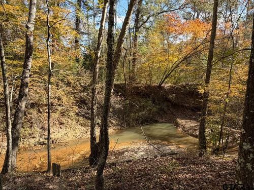 23791 State Highway 64 E, Arp, TX, 75750 | Card Image