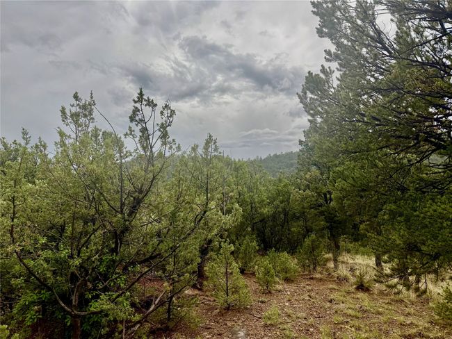 1 N Main St, Home with 0 bedrooms, 0 bathrooms and null parking in Pecos NM | Image 6