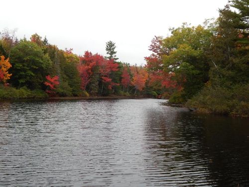 55 Call Road, Milford, ME, 04461 | Card Image