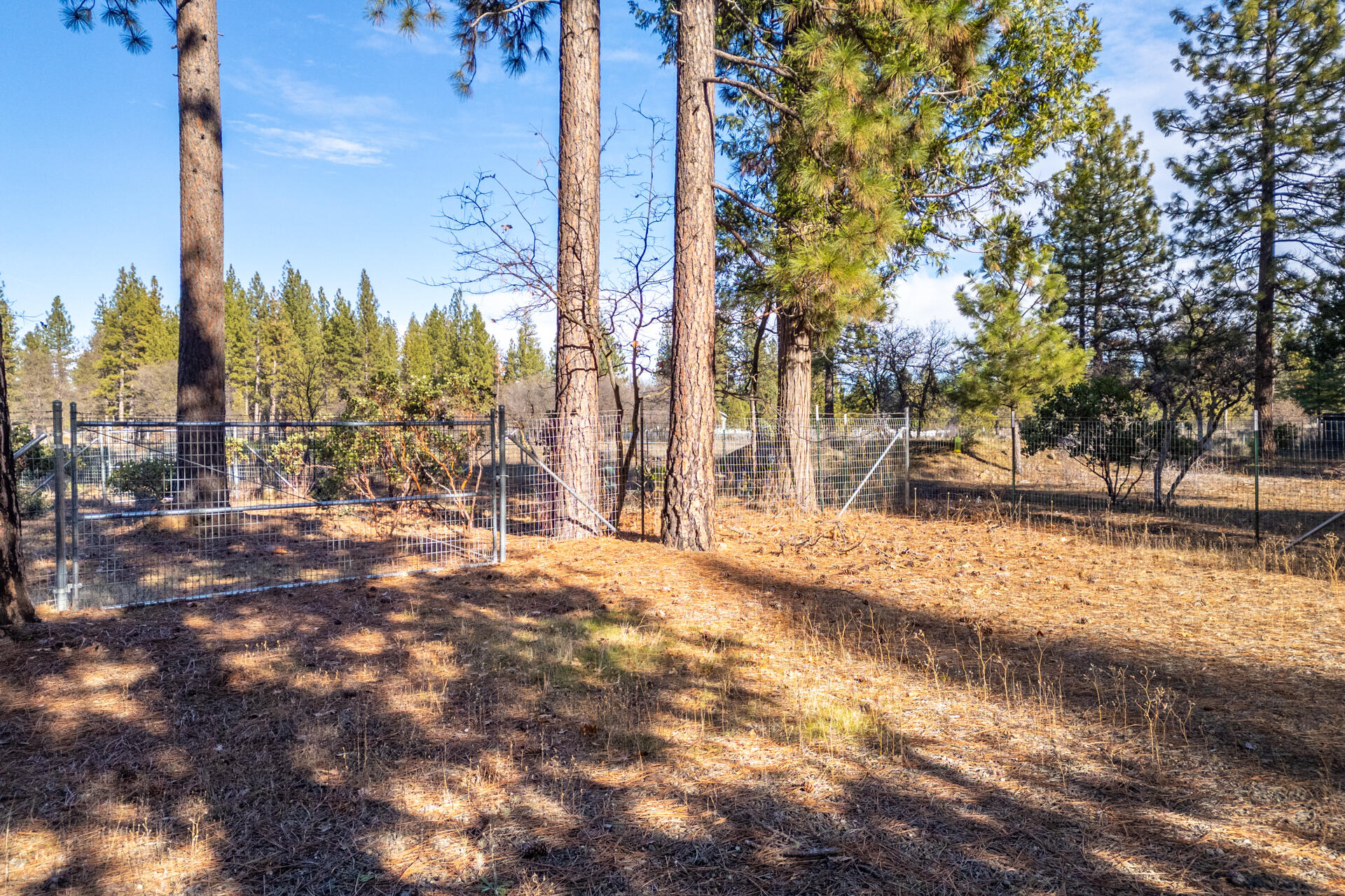 Land in Burney 2