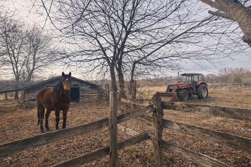 0 County Road 800, Flat Rock, AL, 35966 | Card Image