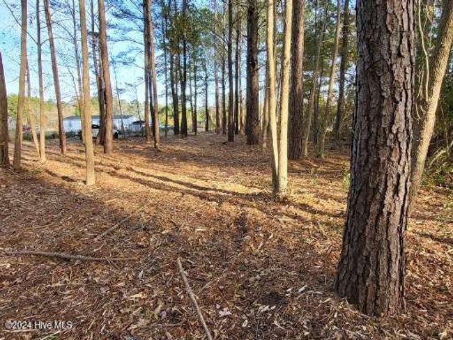 6 Minor Run Rd, Home with 0 bedrooms, 0 bathrooms and null parking in Edward NC | Image 10