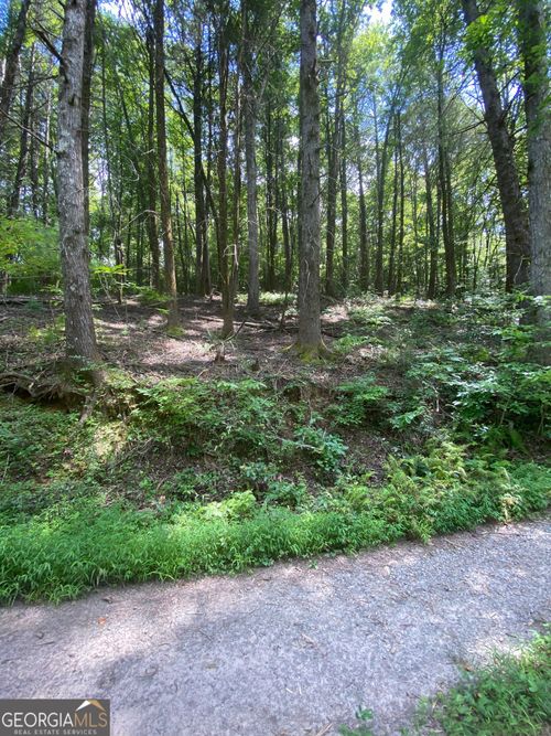 HEMLOCK Hemlock Trl, Blue Ridge, GA, 30513 | Card Image