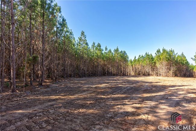 0 Bob Smith Rd, Home with 0 bedrooms, 0 bathrooms and null parking in Stephens GA | Image 13
