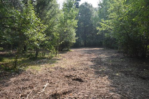 TBD 30th Ave Sw, Pine River, MN, 56474 | Card Image