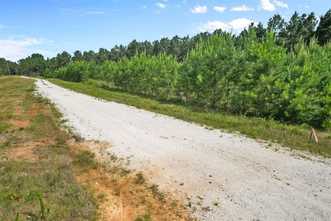 0000 Richardson Rd E, Home with 0 bedrooms, 0 bathrooms and null parking in Livingston TX | Image 11