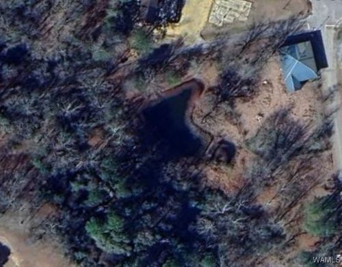 10 Jackson St, Gainesville, AL, 35464 | Card Image