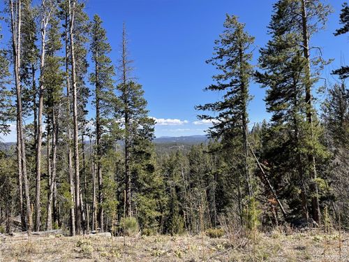 66 Piegan Ct, Red Feather Lakes, CO, 80545-8210 | Card Image