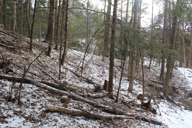 LOT-17 - 000 Wetherbee Farm Rd, Home with 0 bedrooms, 0 bathrooms and null parking in Lisbon NH | Image 16