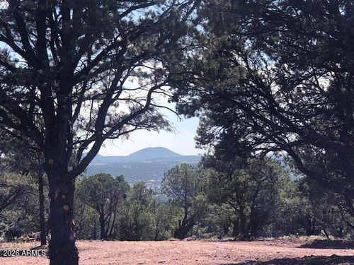 20-Lot 20 Mountain Pine Road, Vernon, AZ, 85940 | Card Image