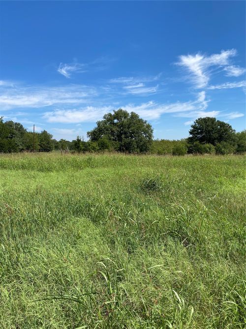 Lot 17 County Road 1126, Cumby, TX, 75433 | Card Image
