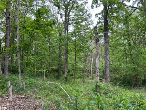 0 S Howard Prince Drive, Nineveh, IN, 46164 | Card Image