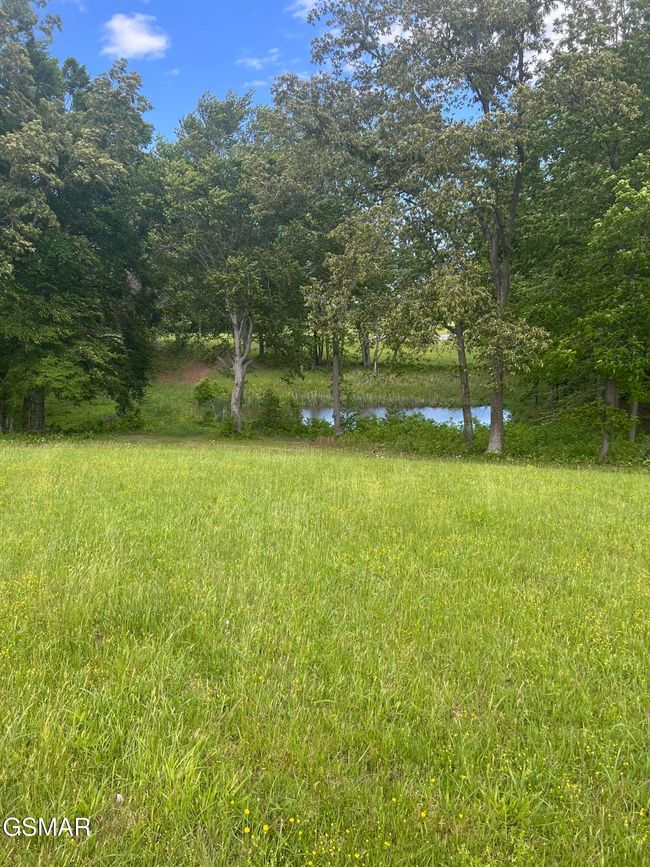2526 Sunset Blvd, Home with 0 bedrooms, 0 bathrooms and null parking in White Pine TN | Image 19