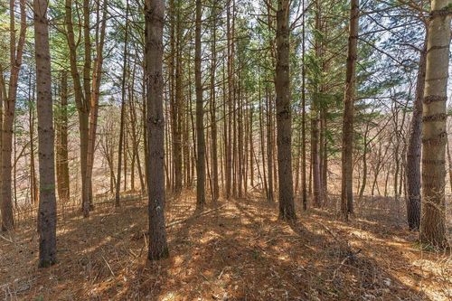 Lot 63 Staghorn Court, Woodland, WI, 53941 | Card Image