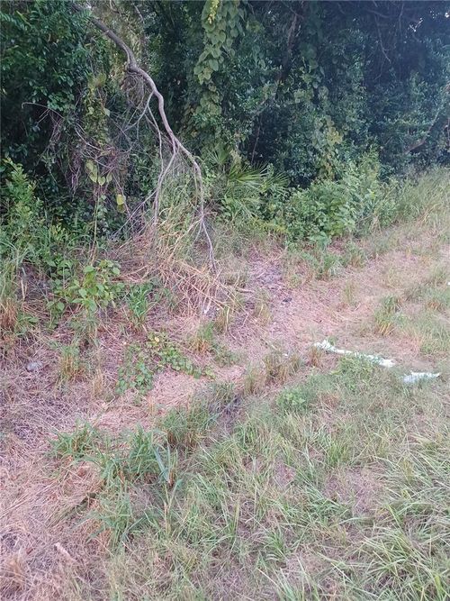 88 Dirksen Dr, DEBARY, FL, 32713-3712 | Card Image